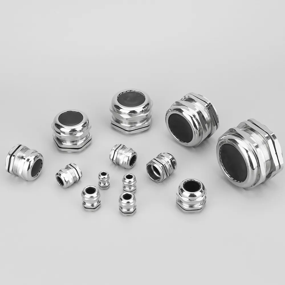 Stainless Steel Cable Gland 1