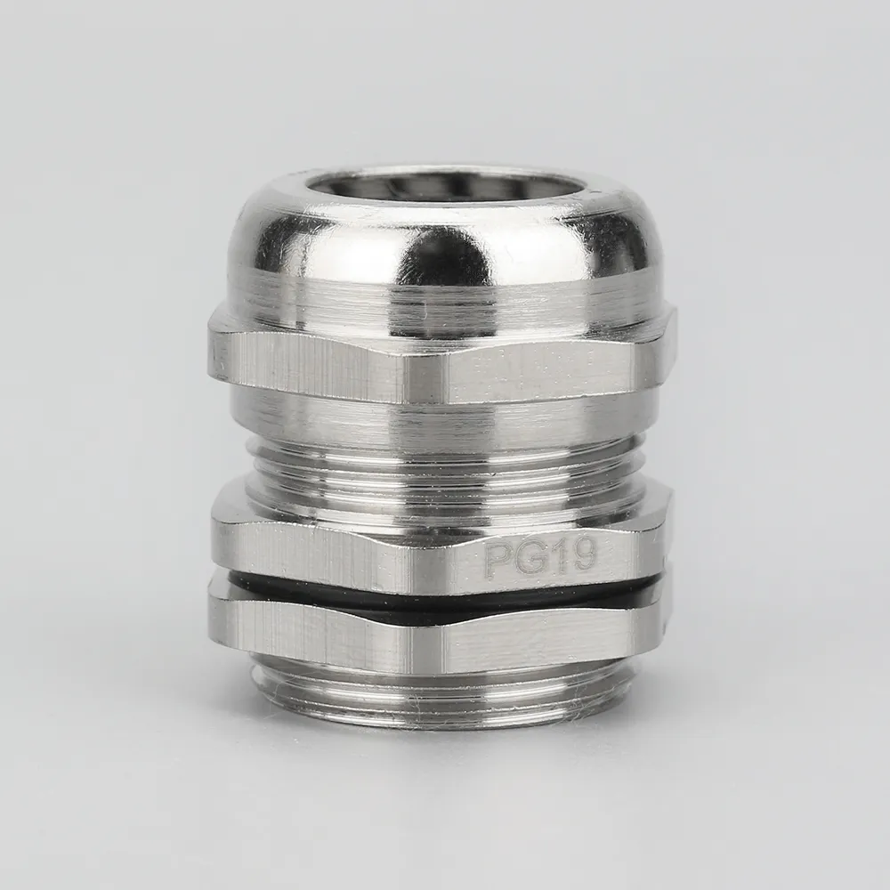 Stainless Steel Cable Gland with Locknut PG19