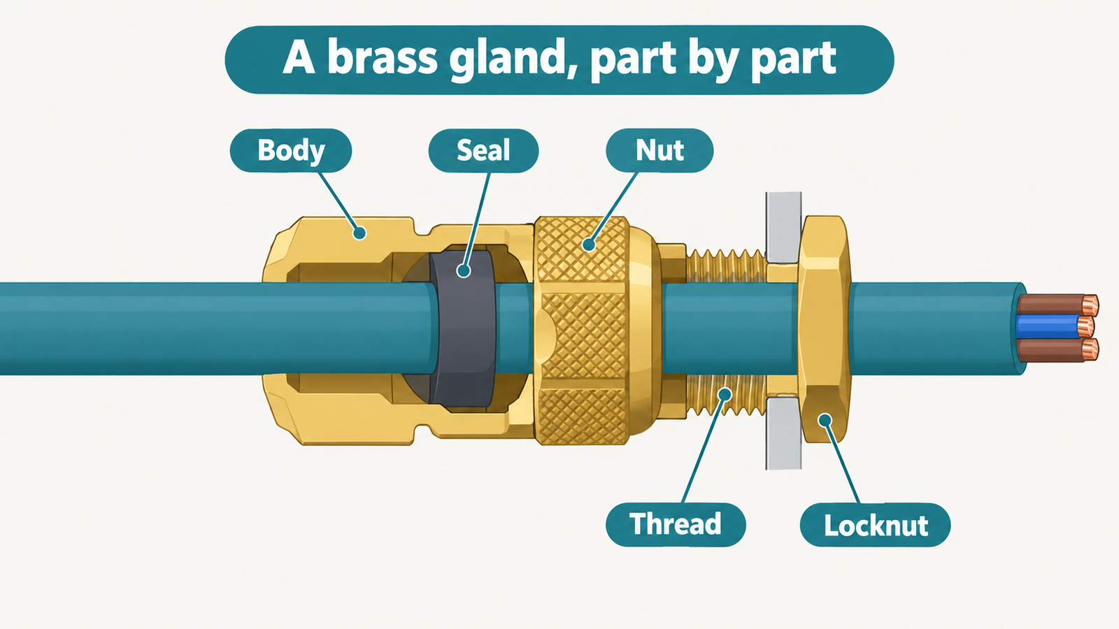 Cutaway anatomy of a standard brass cable gland showing body, elastomer seal, compression nut, thread and locknut